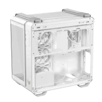 w800 -5-.png
