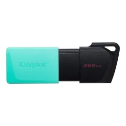 DTXM-256GB-zm-lg.png