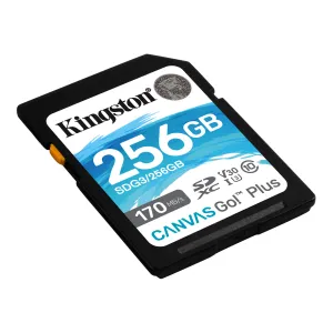 SDG3-256gb-angle-zm-lg.png