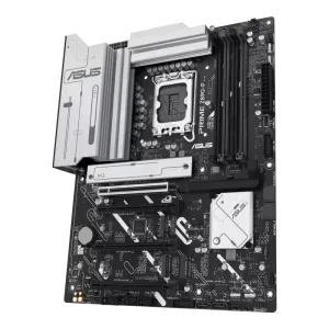 2946-2.webp